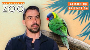 Une saison au zoo Season 8 Ep.6 6. epizód