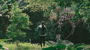 關山渡若飛 háttérkép