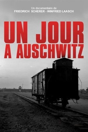 Egy nap Auschwitzban poszter