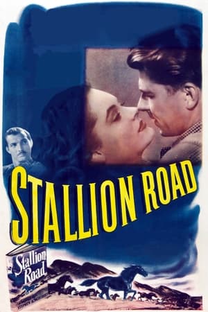 Stallion Road