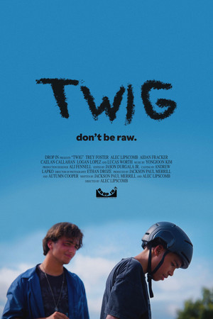 Twig poszter