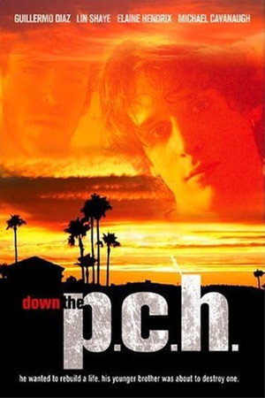 Down the P.C.H. poszter