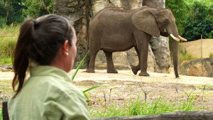 Magic of Disney's Animal Kingdom 1. évad Ep.1 1. epizód