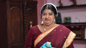 சின்னதம்பி Season 1 Ep.119 119. epizód