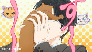 猫になりたい田万川くん háttérkép