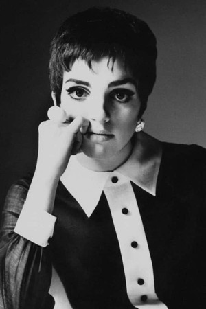 Liza Minnelli profil kép
