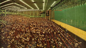 Jai Alai Blues háttérkép