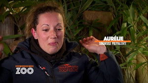 Une saison au zoo Season 5 Ep.34 34. epizód