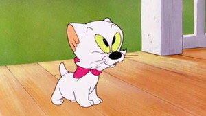 Kiddin' the Kitten háttérkép