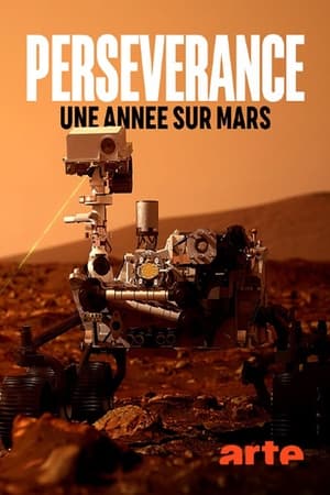 Perseverance, une année sur Mars