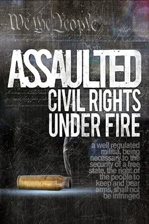 Assaulted: Civil Rights Under Fire poszter