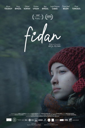 Fidan poszter