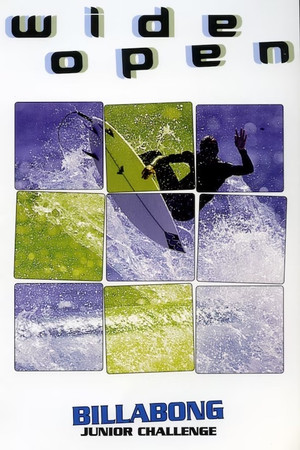 Billabong Challenge: Alley Oop & Wide Open poszter