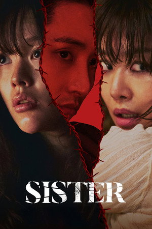 시스터 poszter