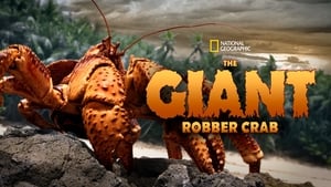 The Giant Robber Crab háttérkép