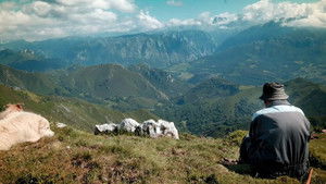 Salvajes, El Cuento Del Lobo háttérkép