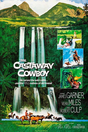 A partra vetett cowboy poszter