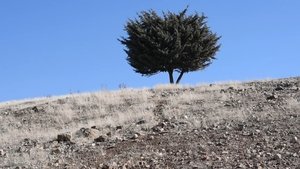 کجاست جای رسیدن؟ háttérkép