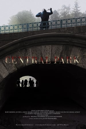 Central Park poszter