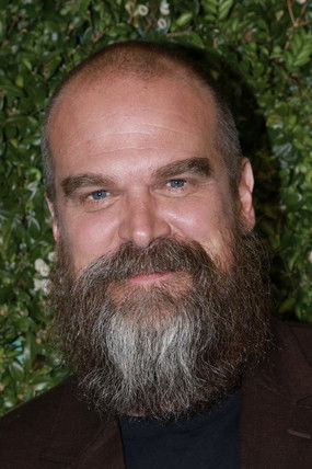 David Harbour profil kép