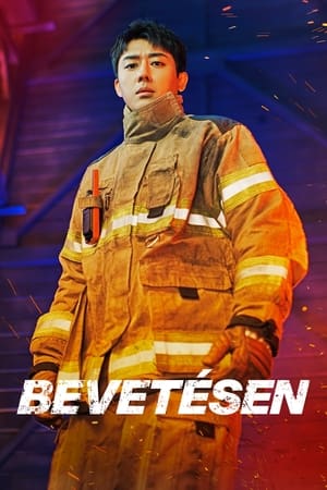 Bevetésen poszter