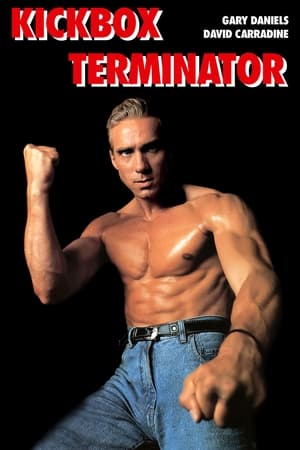 Kickbox terminator poszter