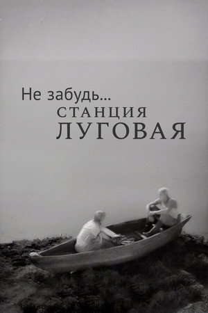 Не забудь... станция Луговая poszter