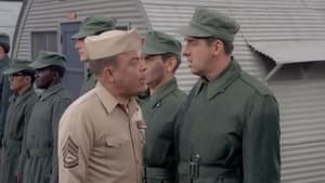 Gomer Pyle, U.S.M.C. Season 3 Ep.14 14. epizód