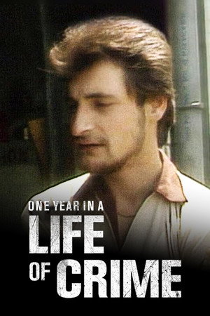 One Year in a Life of Crime poszter