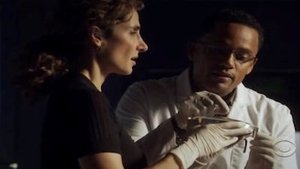 CSI: New York-i helyszínelők 6. évad Ep.9 Manhattanhenge
