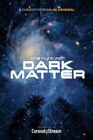 The Hunt for Dark Matter poszter