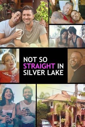 Not So Straight in Silver Lake poszter