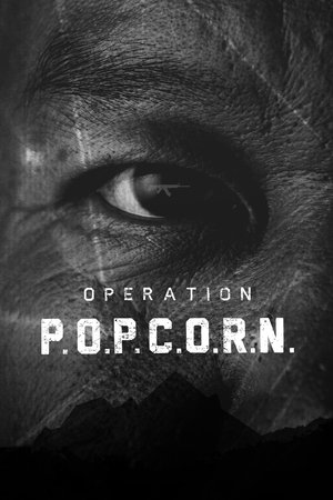 Operation Popcorn poszter