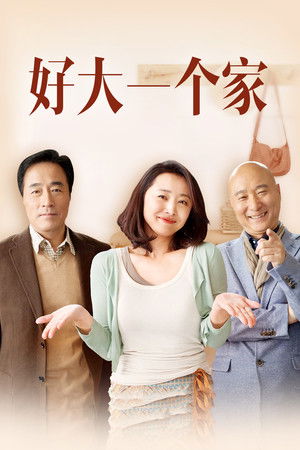好大一个家 poszter