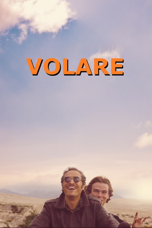 Tutto il mio folle amore poszter