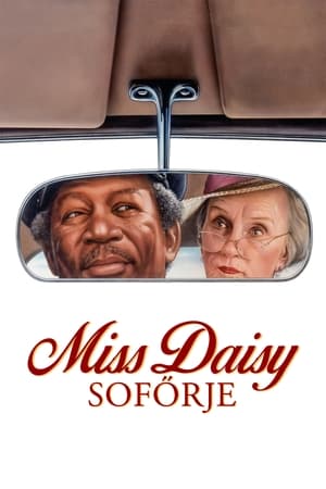 Miss Daisy sofőrje