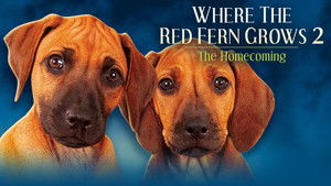 Where The Red Fern Grows Part 2 háttérkép