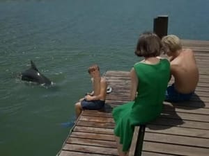 Flipper Season 1 Ep.12 12. epizód