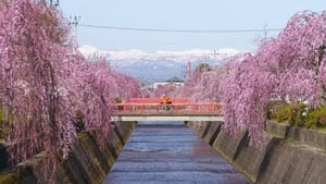 Cycle Around Japan 6. évad Ep.5 5. epizód