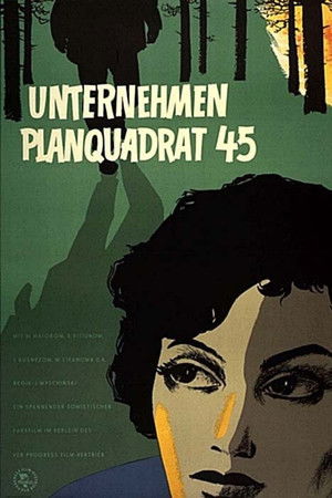 В квадрате 45 poszter