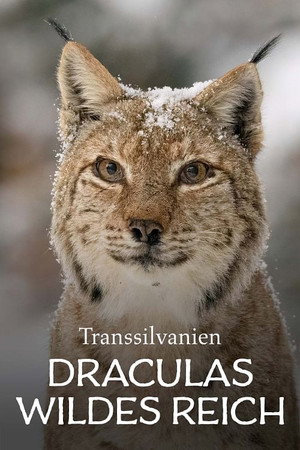 Vad Erdély: Drakula rejtett királysága poszter