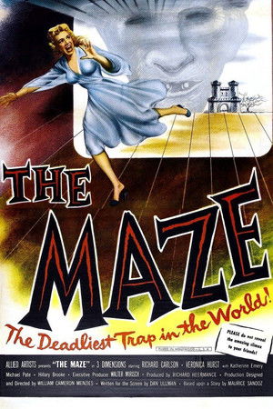 The Maze poszter