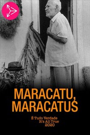 Maracatu, Maracatus poszter