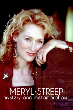 Meryl Streep : mystères et métamorphoses poszter