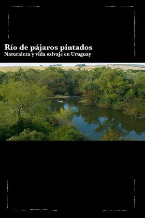 Río de Pájaros Pintados poszter