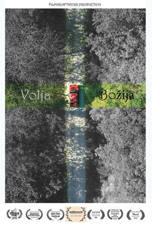 Воља Божја poszter