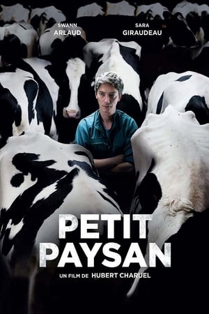 Petit Paysan poszter