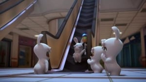 Rabbids: Invázió Season 1 Ep.78 78. epizód