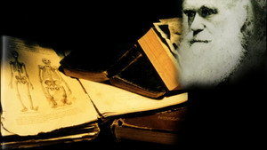 What Darwin Didn't Know háttérkép