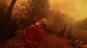 Bushfires: Inside the Inferno kép